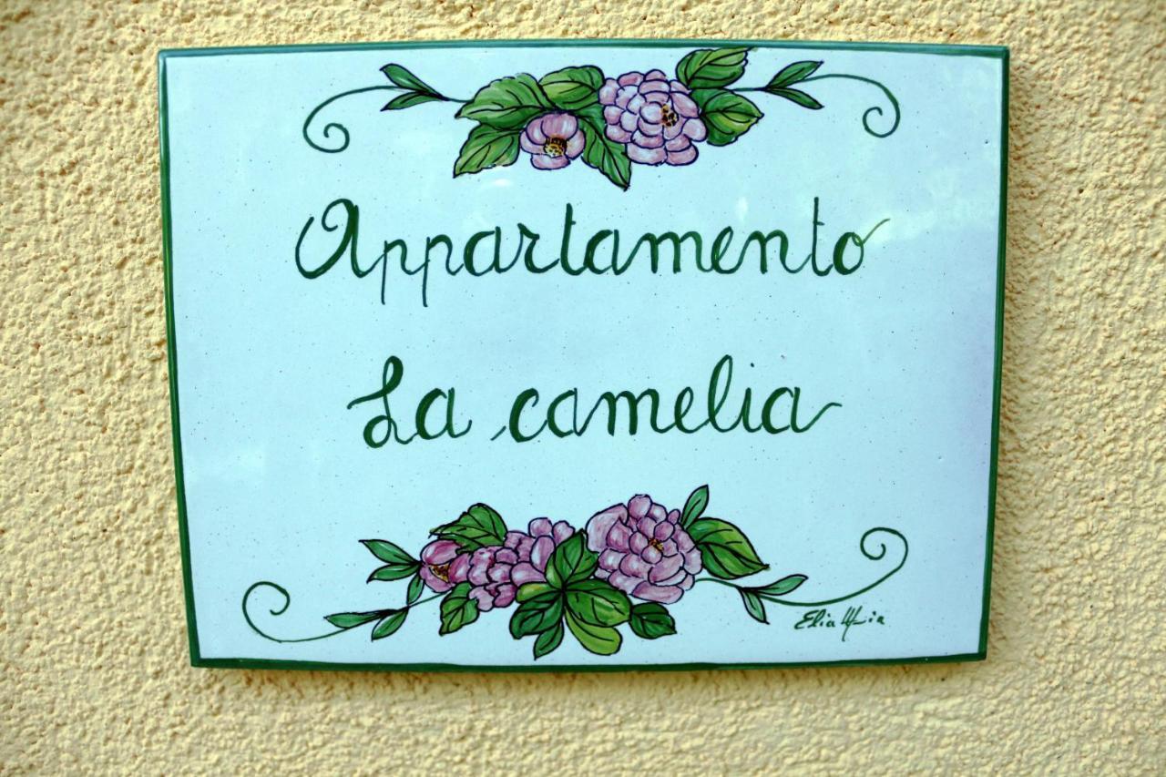 Appartamenti L'Olivo Bagnone Экстерьер фото